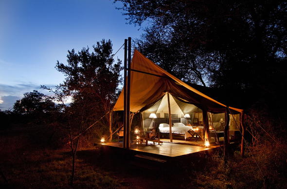 rhino-walking-safaris-plains-camp-tent-at-night-590x390-1.jpg